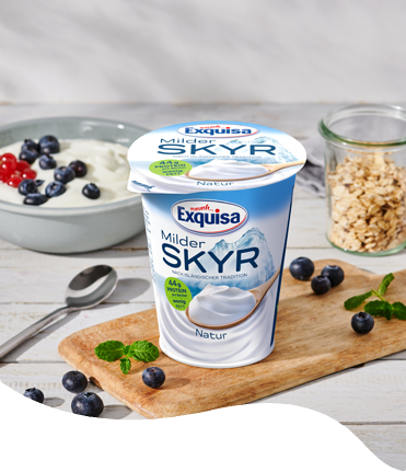 MILD SKYR