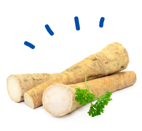 Horseradish